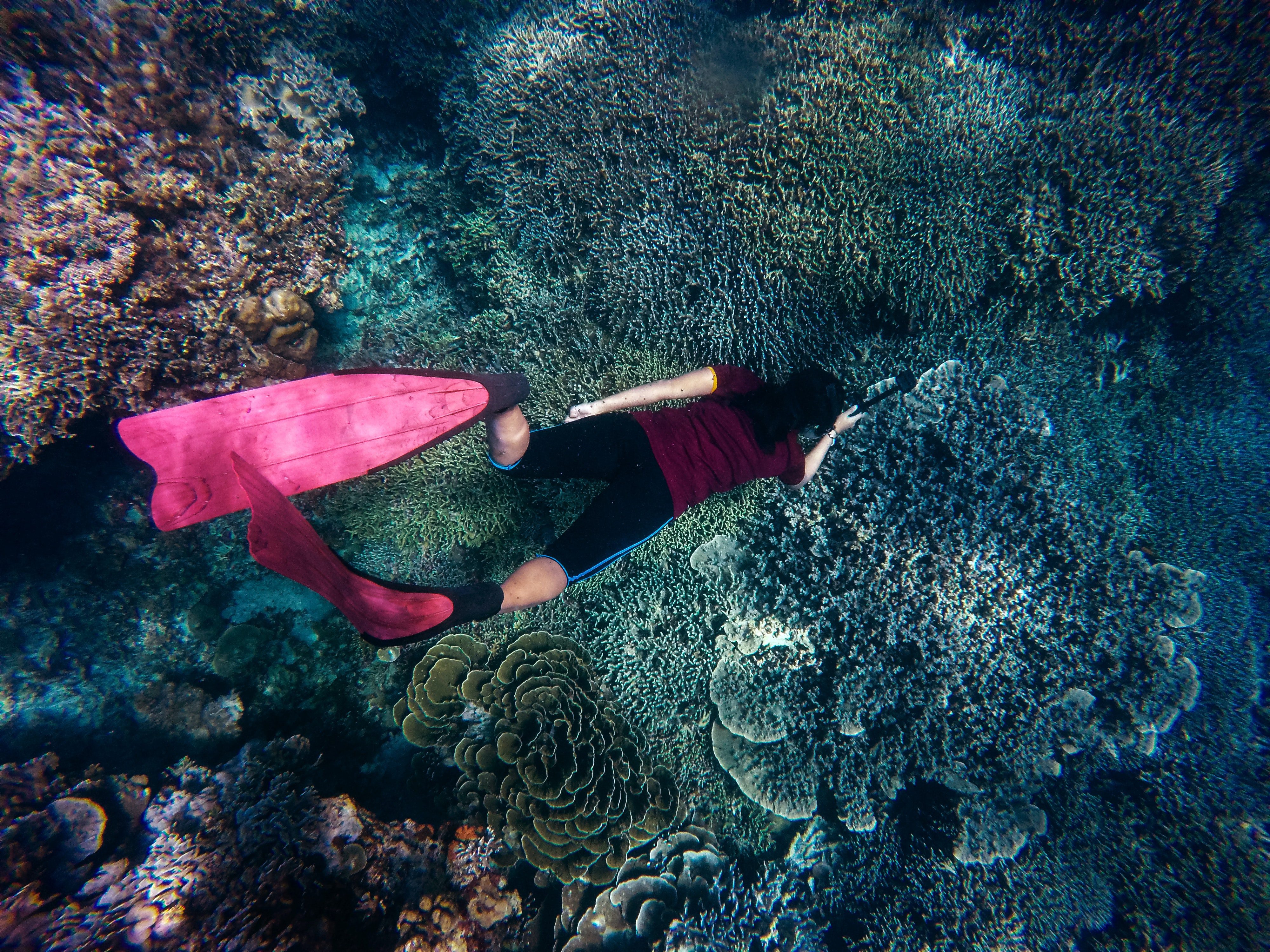 a lady swimming under water